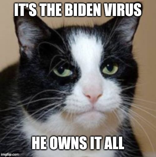 Too much cat | IT'S THE BIDEN VIRUS HE OWNS IT ALL | image tagged in too much cat | made w/ Imgflip meme maker