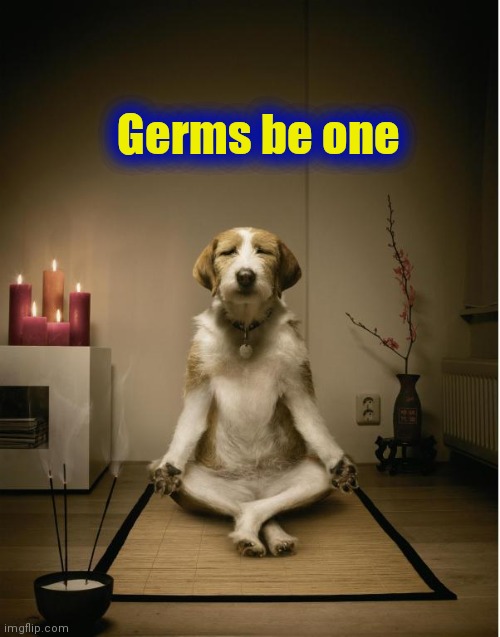 dog meditation funny | Germs be one | image tagged in dog meditation funny | made w/ Imgflip meme maker