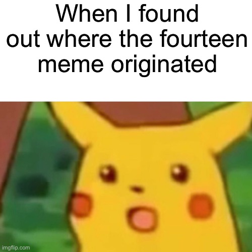 14 meme | When I found out where the fourteen meme originated | image tagged in memes,surprised pikachu,youtube,skeppy | made w/ Imgflip meme maker