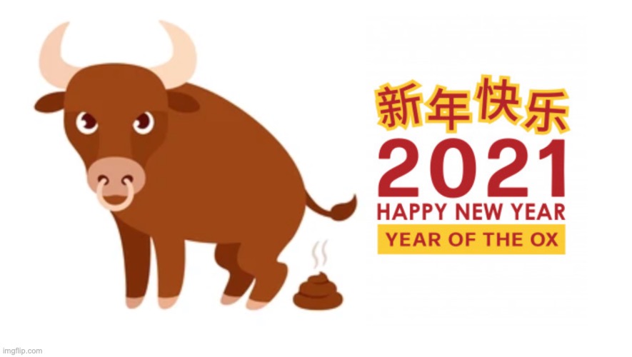Chinese New Year | image tagged in bullshit | made w/ Imgflip meme maker