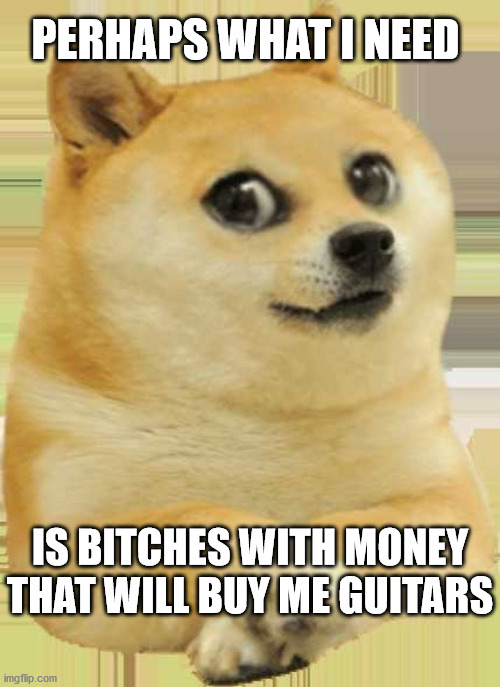 Ritch Bitches | PERHAPS WHAT I NEED; IS BITCHES WITH MONEY THAT WILL BUY ME GUITARS | image tagged in kid doge,funny animals,doge,guitars,guitar,funny dog | made w/ Imgflip meme maker