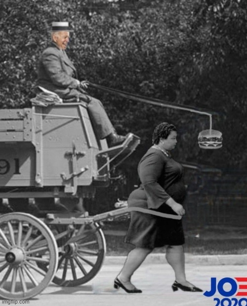 Joe biden and Stacey Abrams | image tagged in joe biden,funny memes | made w/ Imgflip meme maker