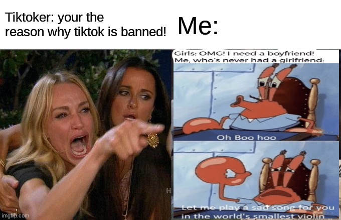 Oh boohoo | Tiktoker: your the reason why tiktok is banned! Me: | image tagged in memes,woman yelling at cat | made w/ Imgflip meme maker