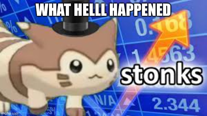 Furret stonks | WHAT HELLL HAPPENED | image tagged in furret stonks | made w/ Imgflip meme maker