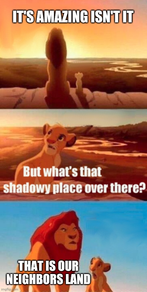 Simba Shadowy Place | IT'S AMAZING ISN'T IT; THAT IS OUR NEIGHBORS LAND | image tagged in memes,simba shadowy place | made w/ Imgflip meme maker
