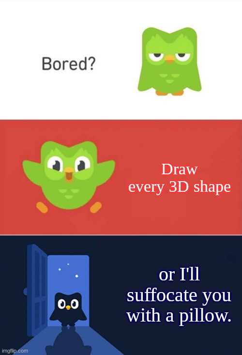 3D Shapes | Draw every 3D shape; or I'll suffocate you with a pillow. | image tagged in duolingo bored 3-panel | made w/ Imgflip meme maker