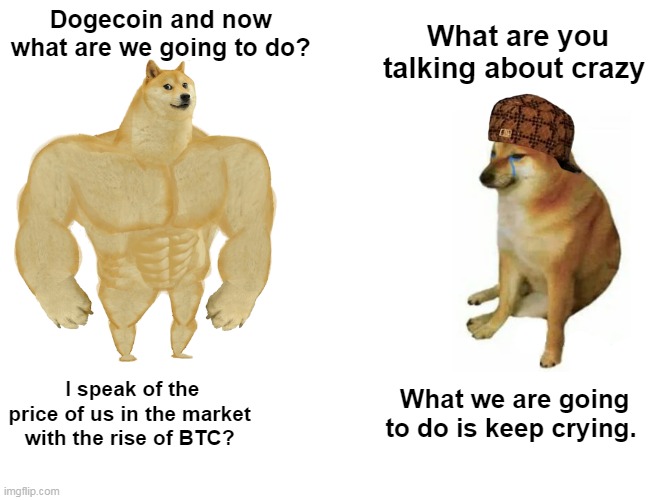 Buff Doge vs. Cheems Meme | Dogecoin and now what are we going to do? What are you talking about crazy; I speak of the price of us in the market with the rise of BTC? What we are going to do is keep crying. | image tagged in memes,buff doge vs cheems | made w/ Imgflip meme maker