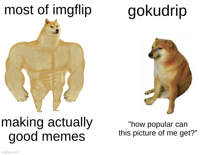 srsly tho | most of imgflip; gokudrip; making actually good memes; "how popular can this picture of me get?" | image tagged in memes,buff doge vs cheems | made w/ Imgflip meme maker