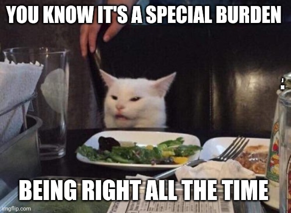 Salad cat | YOU KNOW IT'S A SPECIAL BURDEN; J M; BEING RIGHT ALL THE TIME | image tagged in salad cat | made w/ Imgflip meme maker
