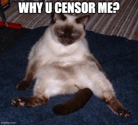 what? | WHY U CENSOR ME? | image tagged in cats,cat,funny cats | made w/ Imgflip meme maker