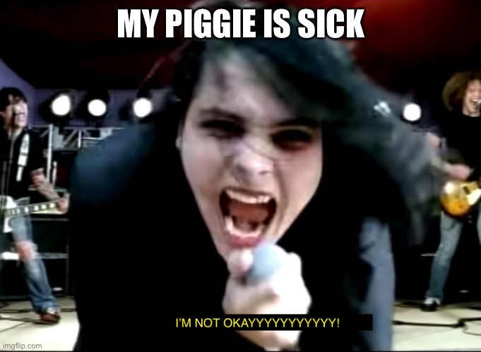 MY PIGGIE IS SICK | made w/ Imgflip meme maker