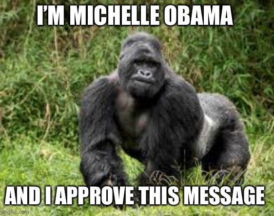 I’M MICHELLE OBAMA AND I APPROVE THIS MESSAGE | made w/ Imgflip meme maker