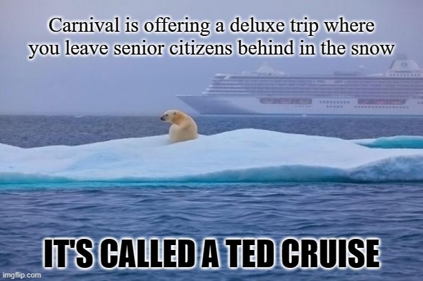 Carnival is offering a deluxe trip where you leave senior citizens behind in the snow; IT'S CALLED A TED CRUISE | made w/ Imgflip meme maker