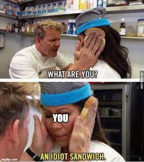 Idiot sandwich | YOU | image tagged in idiot sandwich | made w/ Imgflip meme maker