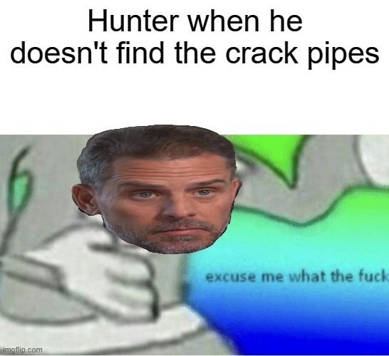 Excuse me wtf blank template | Hunter when he doesn't find the crack pipes | image tagged in excuse me wtf blank template | made w/ Imgflip meme maker