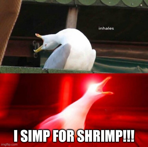i friggin love shrimp | I SIMP FOR SHRIMP!!! | image tagged in inhaling seagull | made w/ Imgflip meme maker