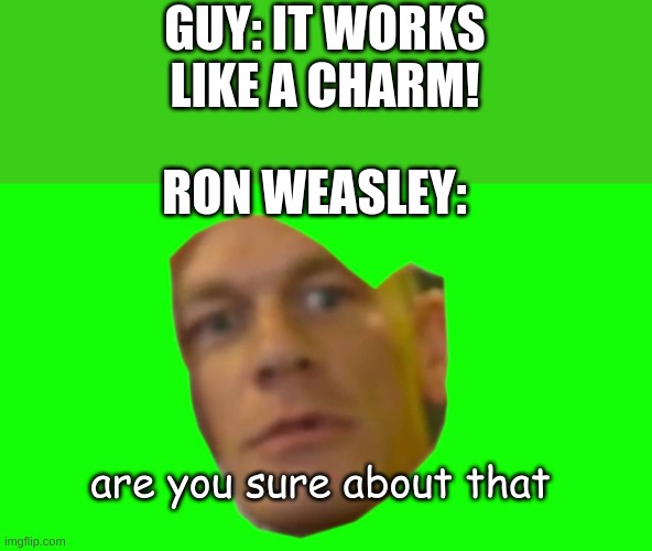 Are you sure about that? (Cena) | GUY: IT WORKS LIKE A CHARM! RON WEASLEY:; are you sure about that | image tagged in are you sure about that cena | made w/ Imgflip meme maker