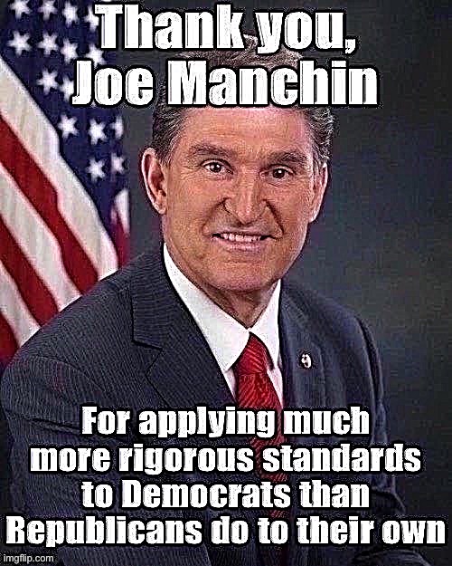 In other news: fuck you, Joe Manchin | image tagged in democrats | made w/ Imgflip meme maker