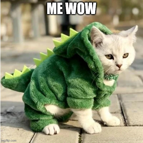 Dino Cat | ME WOW | image tagged in dino cat | made w/ Imgflip meme maker