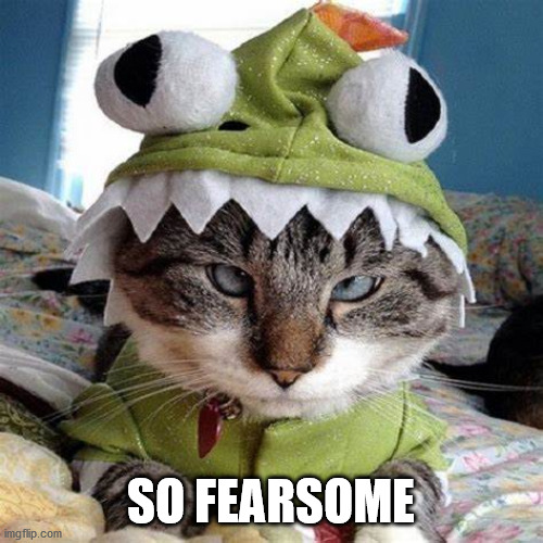 SO FEARSOME | image tagged in cats | made w/ Imgflip meme maker