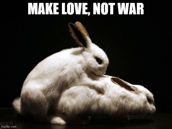 bunny wabbits | MAKE LOVE, NOT WAR | image tagged in bunny wabbits | made w/ Imgflip meme maker