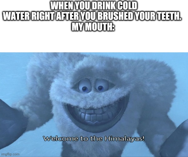 Welcome to the himalayas | WHEN YOU DRINK COLD WATER RIGHT AFTER YOU BRUSHED YOUR TEETH.  
MY MOUTH: | image tagged in welcome to the himalayas | made w/ Imgflip meme maker