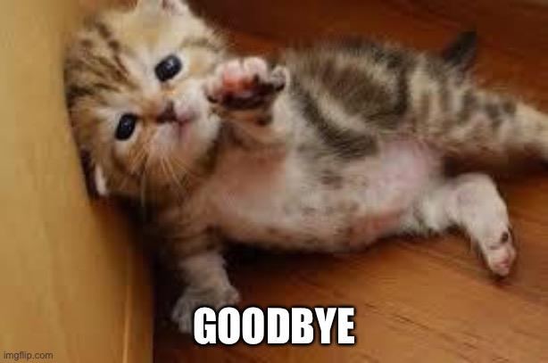 Sad Kitten Goodbye | GOODBYE | image tagged in sad kitten goodbye | made w/ Imgflip meme maker
