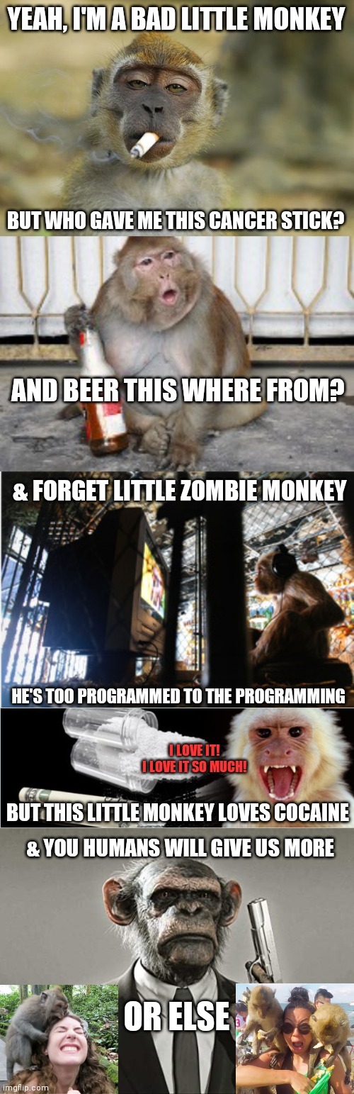 Bad monkey see, bad monkey doo | image tagged in monkeys,funny,memes,wtf,drugs,bad | made w/ Imgflip meme maker