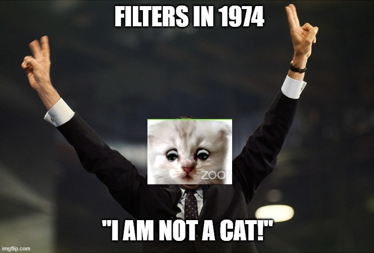 A big coverup |  FILTERS IN 1974; "I AM NOT A CAT!" | image tagged in richard nixon,zoom,filters,cat,history | made w/ Imgflip meme maker