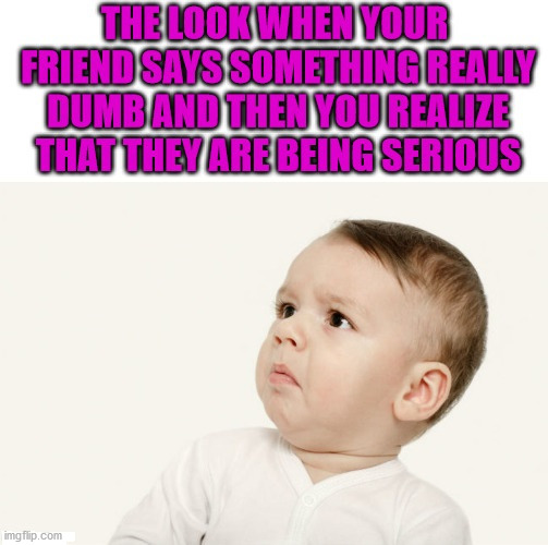 Or if you read my memes. | image tagged in dumb,friends,that look | made w/ Imgflip meme maker