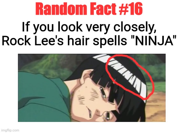 Random Fact #16 | Random Fact #16; If you look very closely, Rock Lee's hair spells "NINJA" | image tagged in memes,fun,imgflip,naruto,anime | made w/ Imgflip meme maker