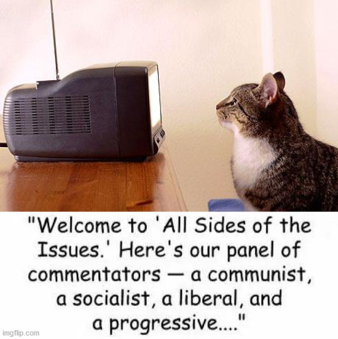 image tagged in cat watching tv,political meme | made w/ Imgflip meme maker