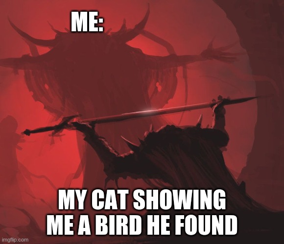 here is a bird my master | ME:; MY CAT SHOWING ME A BIRD HE FOUND | image tagged in cats,so true memes,master | made w/ Imgflip meme maker