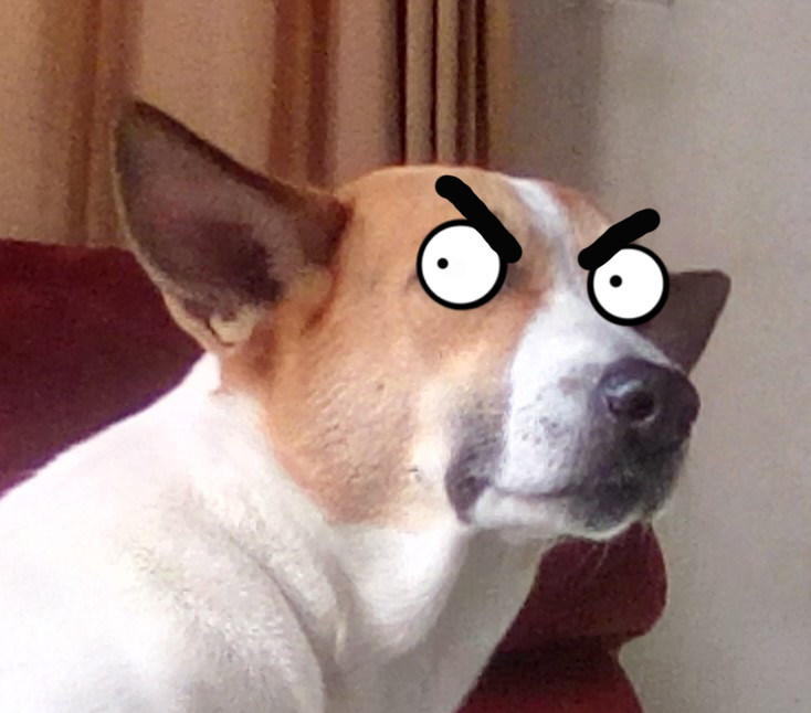 Confused Mad Doggo Blank Meme Template