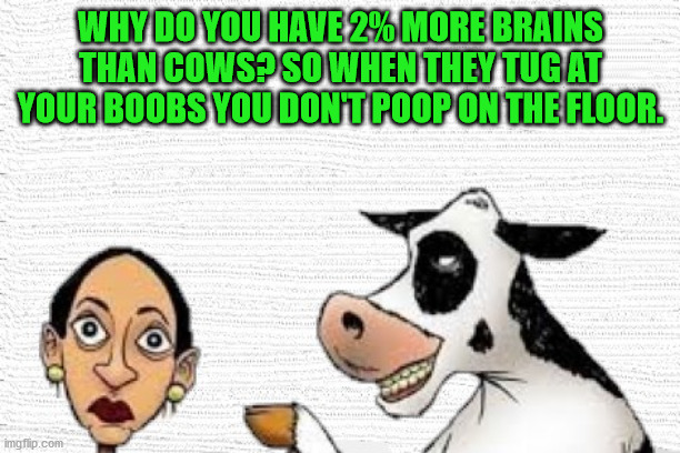 Alexandria Ocasio-Cortez | WHY DO YOU HAVE 2% MORE BRAINS THAN COWS? SO WHEN THEY TUG AT YOUR BOOBS YOU DON'T POOP ON THE FLOOR. | image tagged in alexandria ocasio-cortez | made w/ Imgflip meme maker