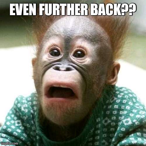 Shocked Monkey | EVEN FURTHER BACK?? | image tagged in shocked monkey | made w/ Imgflip meme maker