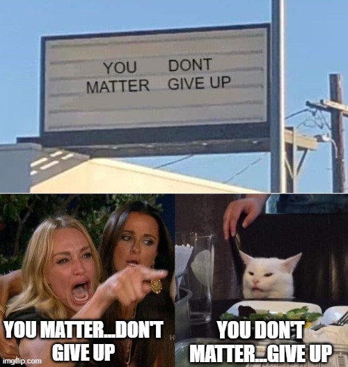 YOU DON'T MATTER...GIVE UP; YOU MATTER...DON'T GIVE UP | image tagged in memes,woman yelling at cat | made w/ Imgflip meme maker