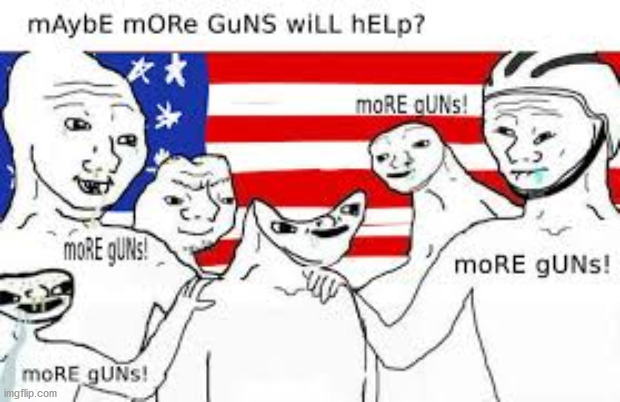 moRE gUNs | image tagged in more guns | made w/ Imgflip meme maker