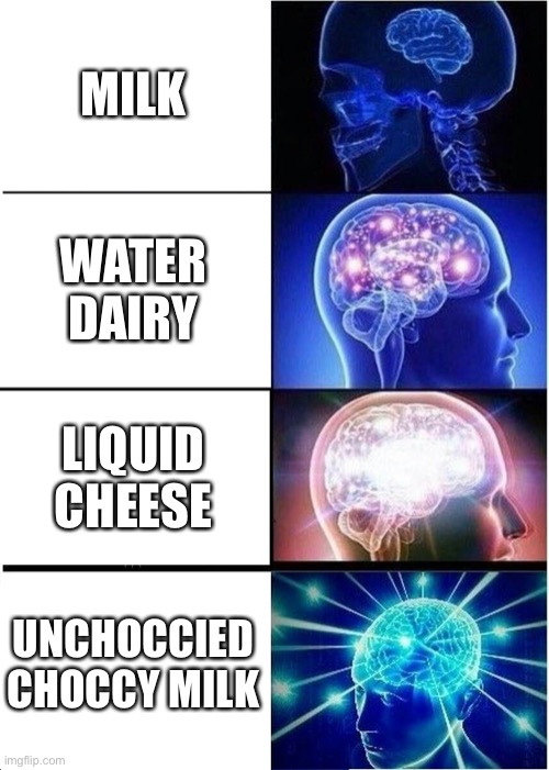 Big brain time | MILK; WATER DAIRY; LIQUID CHEESE; UNCHOCCIED CHOCCY MILK | image tagged in memes,expanding brain | made w/ Imgflip meme maker