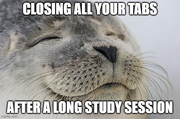 Closing all Tabs | CLOSING ALL YOUR TABS; AFTER A LONG STUDY SESSION | image tagged in memes,satisfied seal,student,studying | made w/ Imgflip meme maker