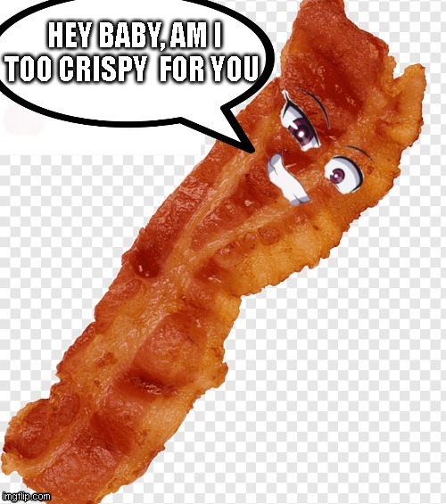 oh ya, gimme  your bacon | HEY BABY, AM I TOO CRISPY  FOR YOU | image tagged in bacon,funny memes,waifu,sexy | made w/ Imgflip meme maker