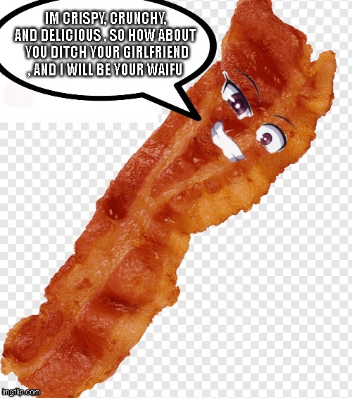 oh yaaa i would | IM CRISPY, CRUNCHY, AND DELICIOUS , SO HOW ABOUT  YOU DITCH YOUR GIRLFRIEND , AND I WILL BE YOUR WAIFU | image tagged in funny,memes,bacon,waifu,sexy | made w/ Imgflip meme maker