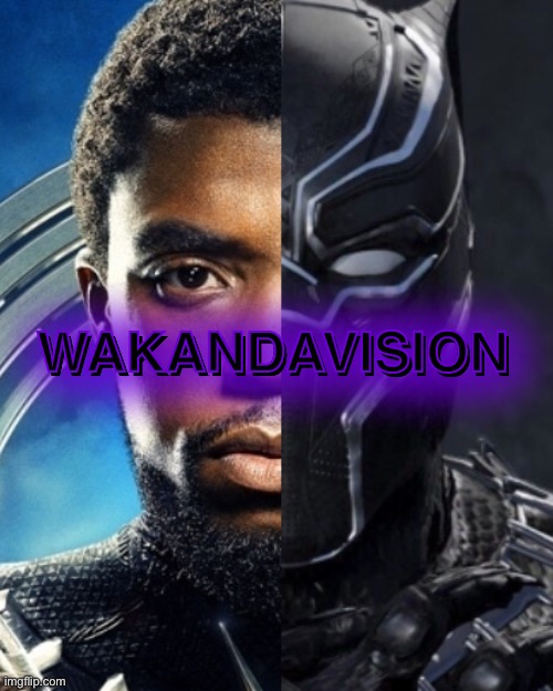 WakandaVision | WAKANDAVISION; WAKANDAVISION | image tagged in funny,memes,movies,black panther,wandavision | made w/ Imgflip meme maker