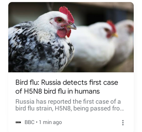 High Quality russian birds Blank Meme Template