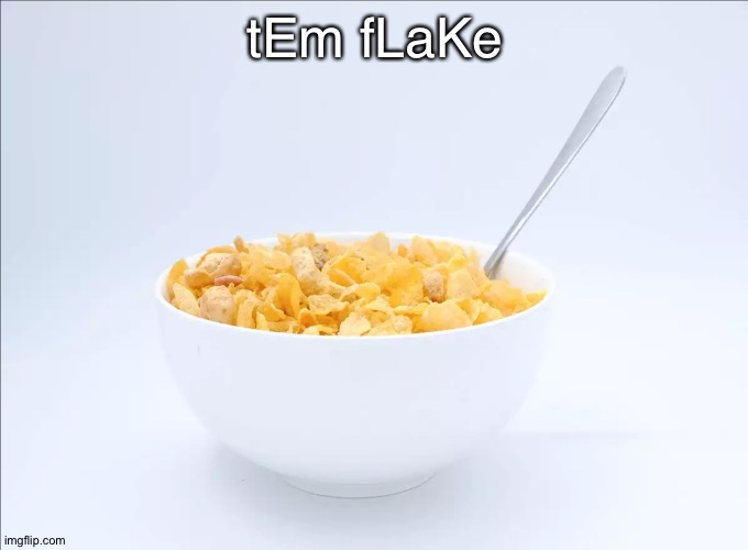 Corn Flakes | tEm fLaKe | image tagged in corn flakes | made w/ Imgflip meme maker