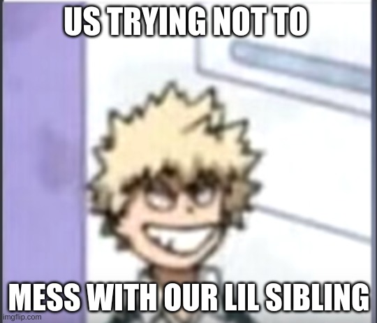 Bakugo sero smile |  US TRYING NOT TO; MESS WITH OUR LIL SIBLING | image tagged in bakugo sero smile,mha | made w/ Imgflip meme maker