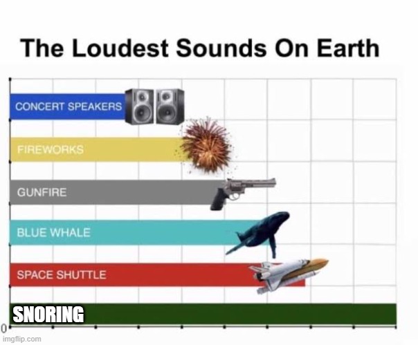 Can Relate? | SNORING | image tagged in the loudest sounds on earth,the loud house | made w/ Imgflip meme maker