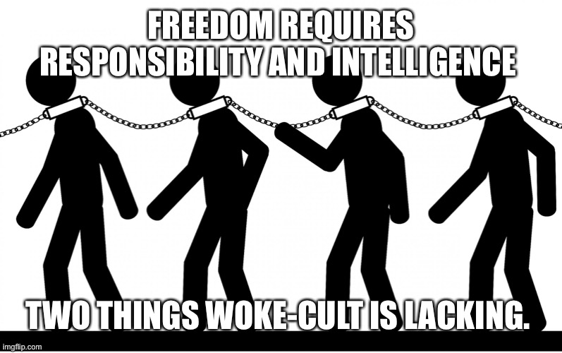 Woke-cult | FREEDOM REQUIRES RESPONSIBILITY AND INTELLIGENCE; TWO THINGS WOKE-CULT IS LACKING. | image tagged in slavery,woke,socialism,government corruption,lowering standards of education,systemic-boondoggle | made w/ Imgflip meme maker