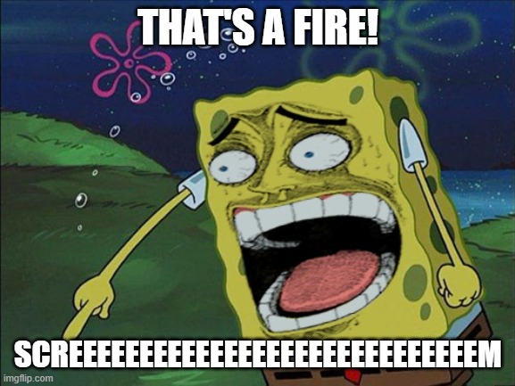 screeming spongebob | THAT'S A FIRE! SCREEEEEEEEEEEEEEEEEEEEEEEEEEEEEM | image tagged in screeming spongebob | made w/ Imgflip meme maker