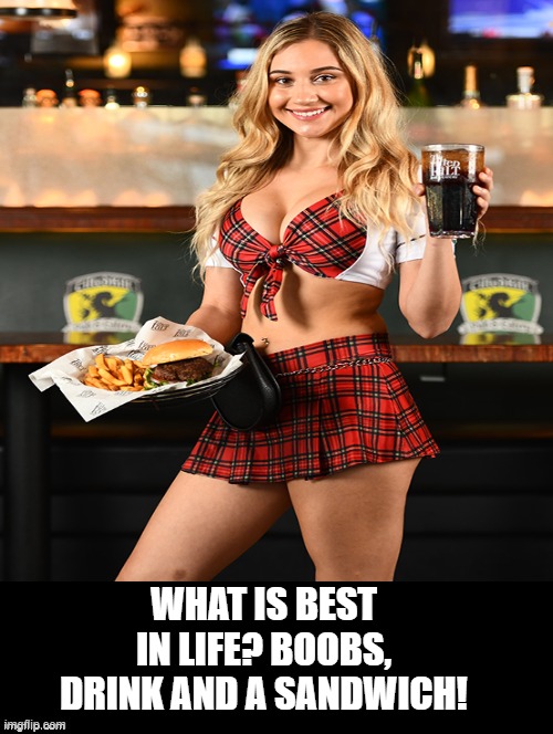 What is best in life? Boobs, drink and a sandwich! | WHAT IS BEST IN LIFE? BOOBS, DRINK AND A SANDWICH! | image tagged in best | made w/ Imgflip meme maker